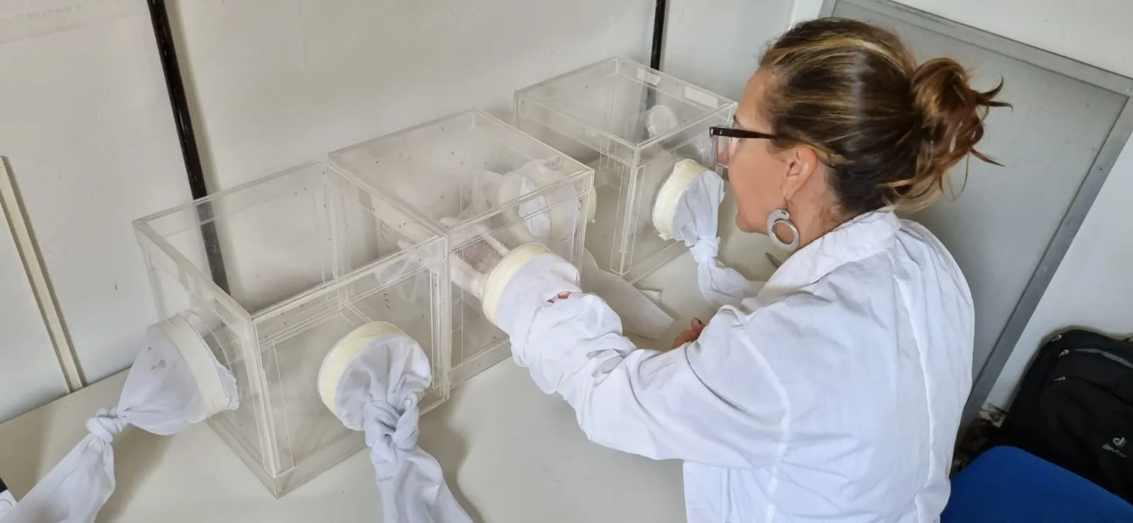 Integrantes del laboratorio NEI trabajando en el insectario